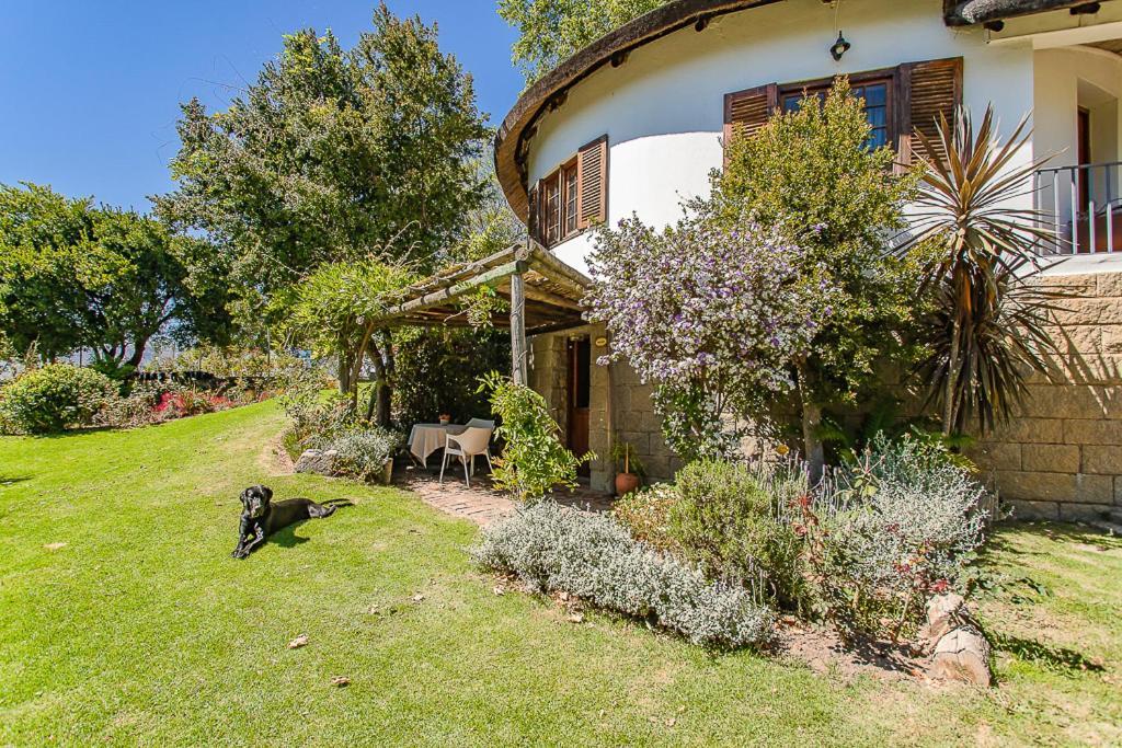 Picardie Guest Farm Paarl Exterior foto
